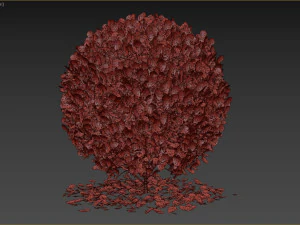 Boxwood Ball Plant 3D Model