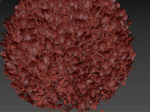 Boxwood Ball Plant 3D Model