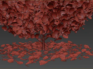 Boxwood Ball Plant 3D Model