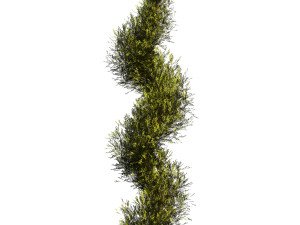 Fut Tree 3Dモデル