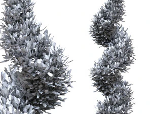 Fut Tree 3D Model