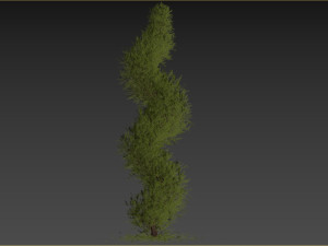 Fut Tree 3Dモデル