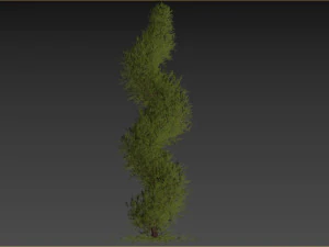 Fut Tree 3D Model
