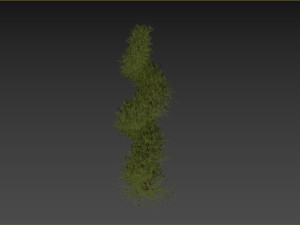 Fut Tree 3Dモデル