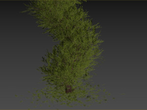 Fut Tree 3Dモデル