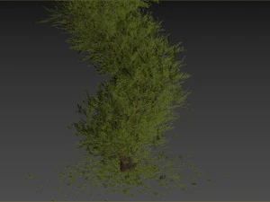 Fut Tree 3D Model