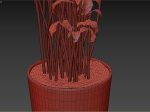 Ficus Tree Plant 3D मॉडल