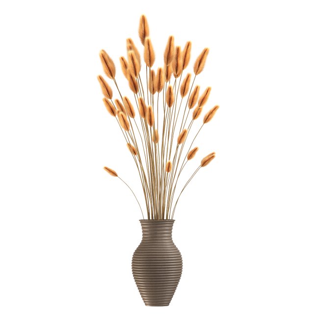 Lagurus Plant 3D 模型 .c4d .max .obj .3ds .fbx .stl .blend 