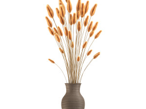 Lagurus Plant 3D Model