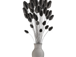 Lagurus Plant 3D 模型