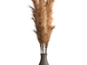 Cortaderia Plant 3D 모델