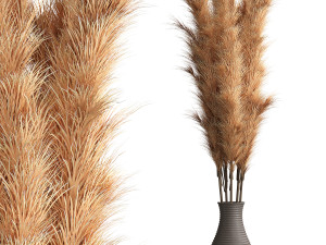 Cortaderia Plant 3D 모델