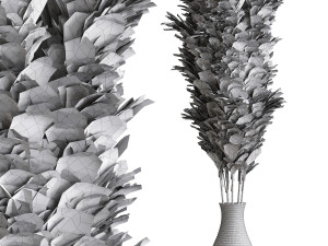 Cortaderia Plant 3D 모델