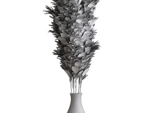 Cortaderia Plant 3D 모델