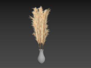 Cortaderia Plant 3D 모델