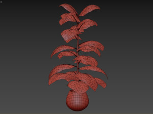 Indoor Plant 3D Модель