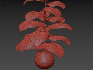 Indoor Plant 3D Модель