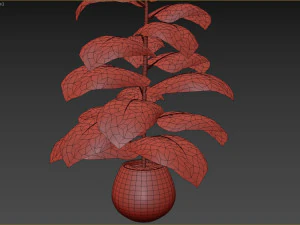 Indoor Plant 3D Model
