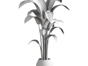 Indoor Plant 3D मॉडल