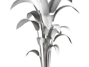 Indoor Plant 3D मॉडल
