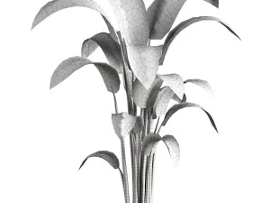 Indoor Plant 3D Model