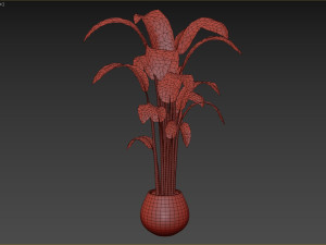 Indoor Plant 3D मॉडल