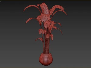 Indoor Plant 3D Model
