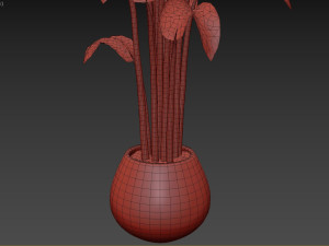 Indoor Plant 3D मॉडल