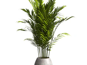 Planta de interior Modelo 3D