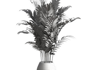 Indoor Plant 3D Model