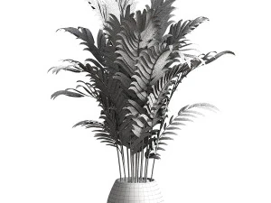 Indoor Plant 3D Model