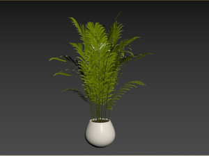 Indoor Plant 3D Model