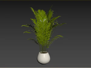 Indoor Plant 3D Model