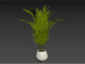 Indoor Plant 3D Model