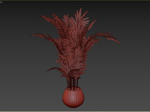 Indoor Plant 3D Model