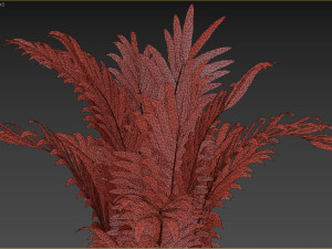 Indoor Plant 3D Model