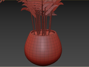 Indoor Plant 3D Model