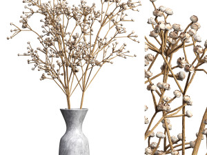 Dry Flower Bouquet 3D Model