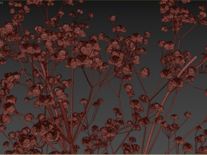 Dry Flower Bouquet 3D मॉडल