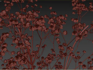 Dry Flower Bouquet 3D Model