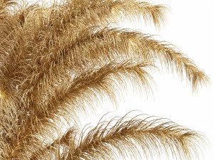 Decorative Pampas Bouquet 3D-Modell