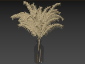Decorative Pampas Bouquet 3D-Modell