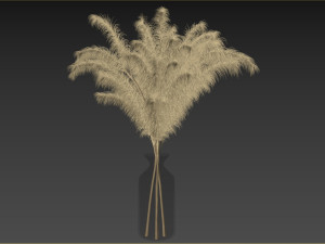 Decorative Pampas Bouquet 3D-Modell