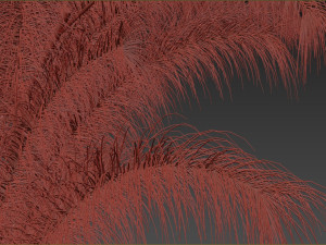 Decorative Pampas Bouquet 3D-Modell