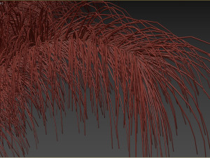 Decorative Pampas Bouquet 3D-Modell