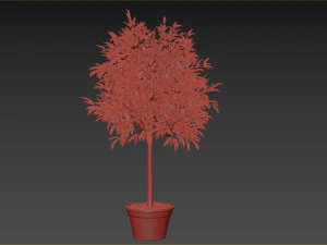 Lemon Tree Plant 3D Model
