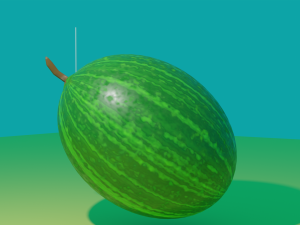 watermelon 3D Model