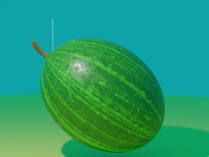 watermelon 3D Model