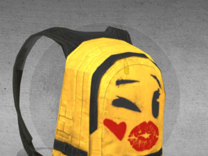 pubg bag skin 3Dモデル