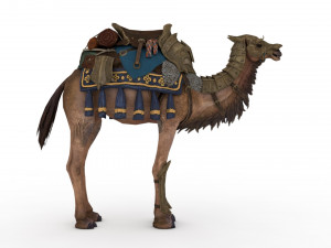 camel rigged and animated 3D Model